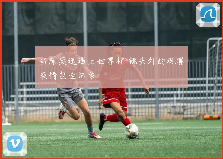 当陈奕迅遇上世界杯 镜头外的观赛表情包全记录