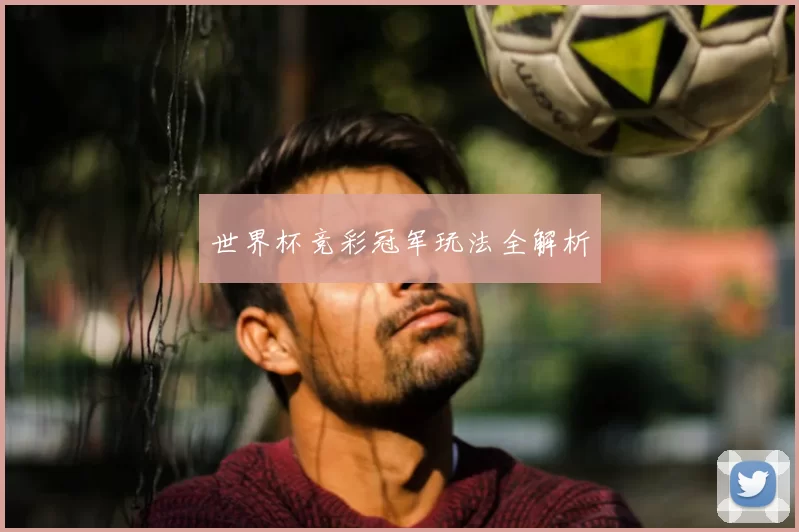 世界杯竞彩冠军玩法全解析