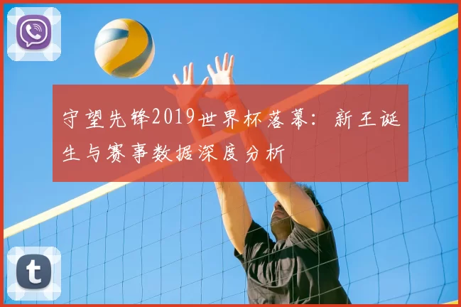 守望先锋2019世界杯落幕:新王诞生与赛事数据深度分析