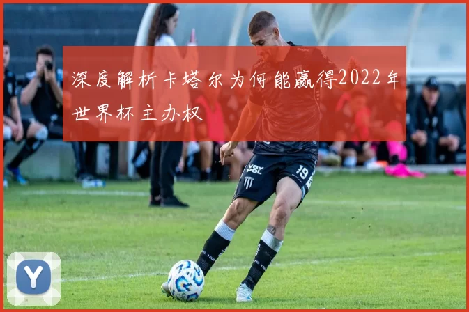 深度解析卡塔尔为何能赢得2022年世界杯主办权