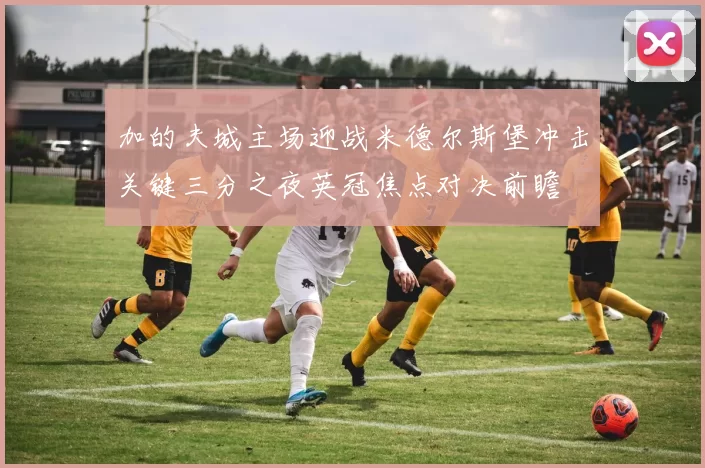 加的夫城主场迎战米德尔斯堡冲击关键三分之夜英冠焦点对决前瞻