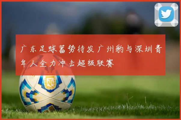 广东足球蓄势待发广州豹与深圳青年人全力冲击超级联赛