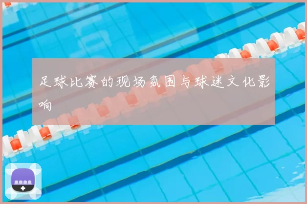 足球比赛的现场氛围与球迷文化影响