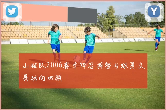 山猫队2006赛季阵容调整与球员交易动向回顾