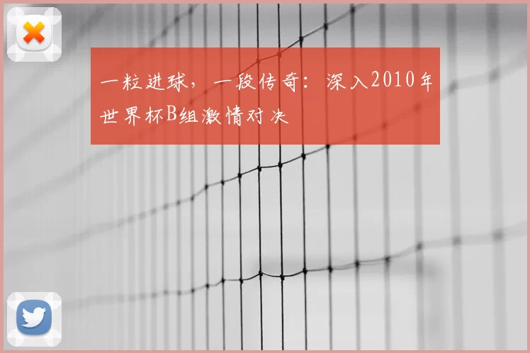 一粒进球,一段传奇:深入2010年世界杯B组激情对决