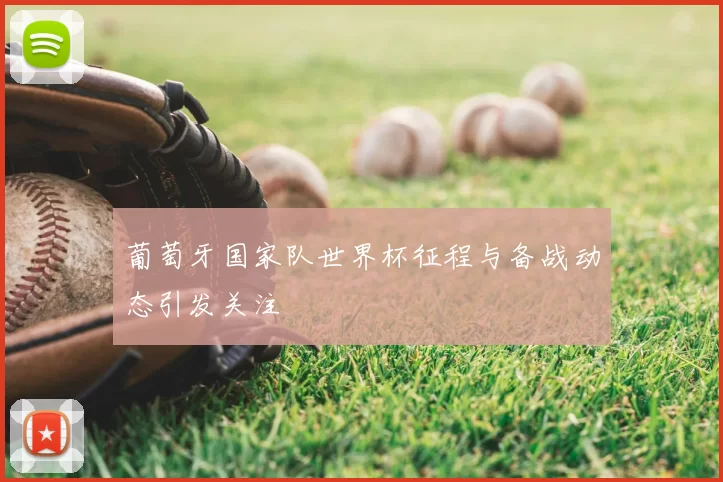 葡萄牙国家队世界杯征程与备战动态引发关注