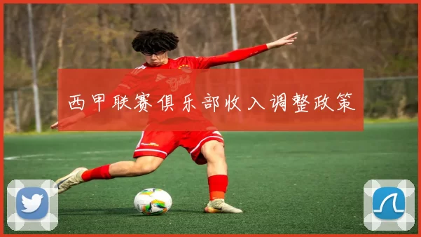 西甲联赛俱乐部收入调整政策