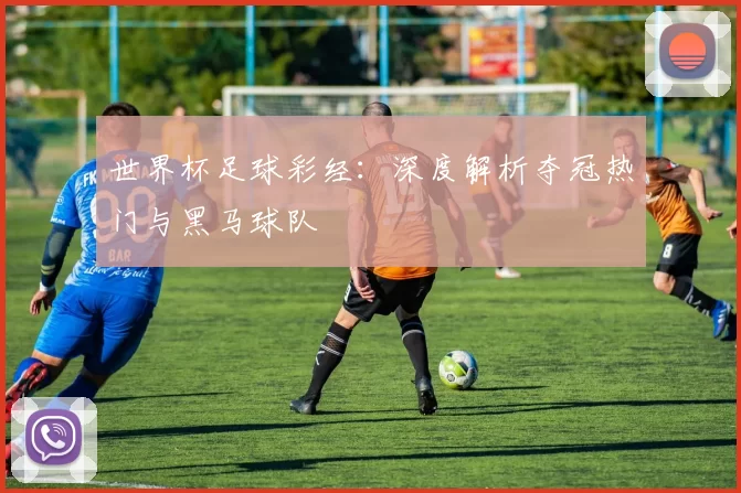 世界杯足球彩经：深度解析夺冠热门与黑马球队