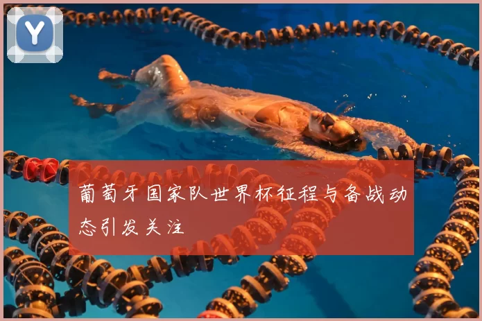 葡萄牙国家队世界杯征程与备战动态引发关注