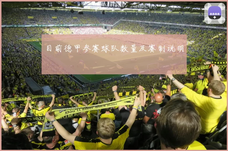 目前德甲参赛球队数量及赛制说明
