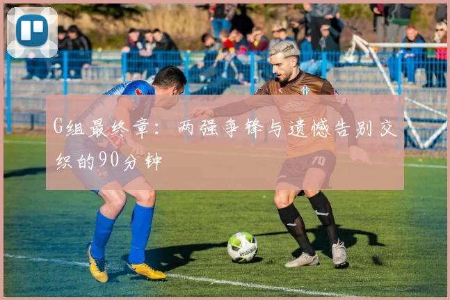 G组最终章:两强争锋与遗憾告别交织的90分钟