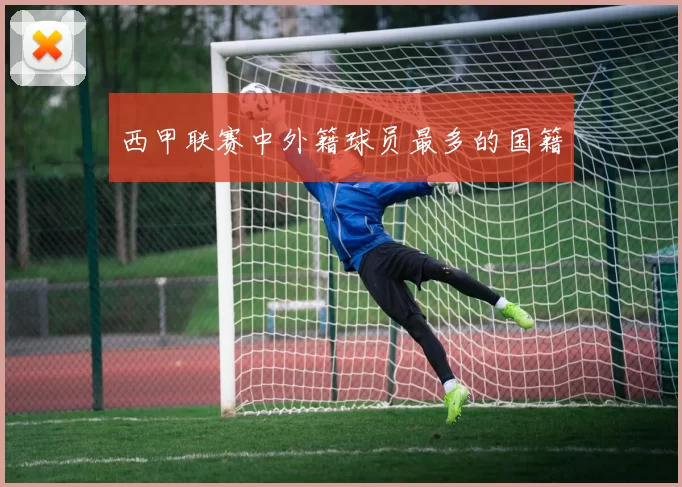 西甲联赛中外籍球员最多的国籍