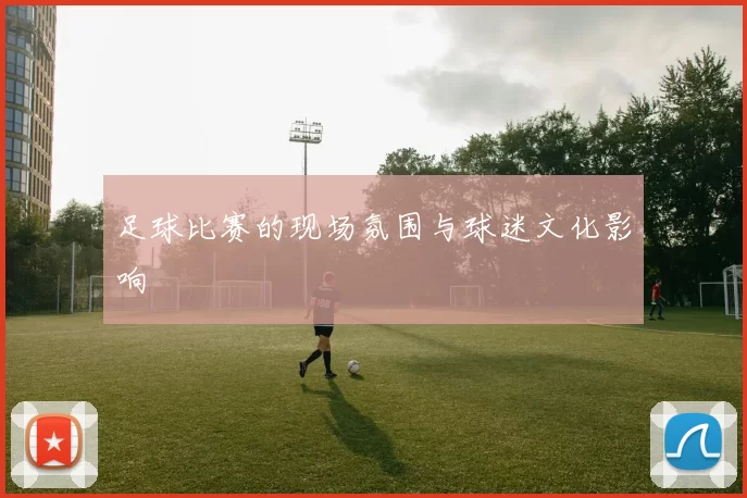 足球比赛的现场氛围与球迷文化影响